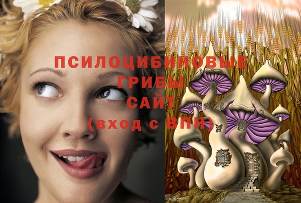 марки lsd Арсеньев
