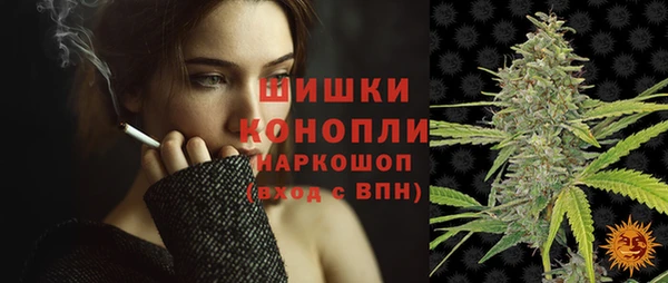 трава Аркадак