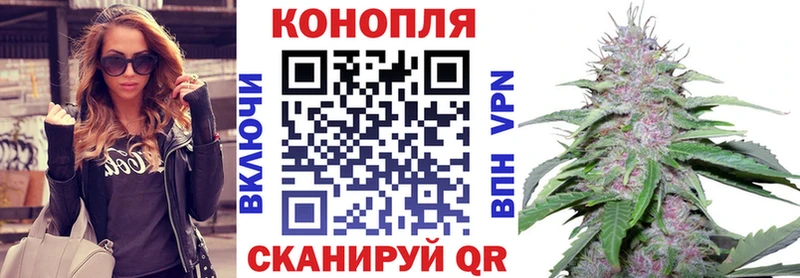 купить наркотики цена  Чистополь  Шишки марихуана MAZAR 